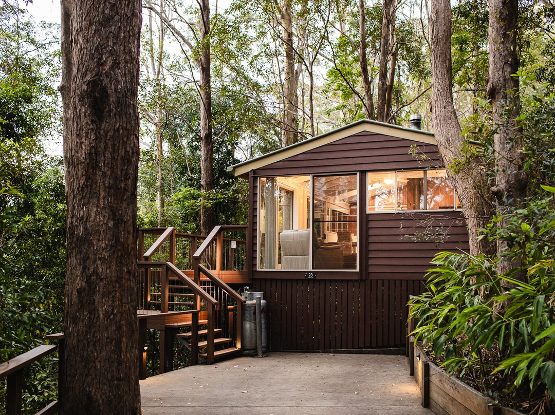 Kondalilla Eco Resort主图