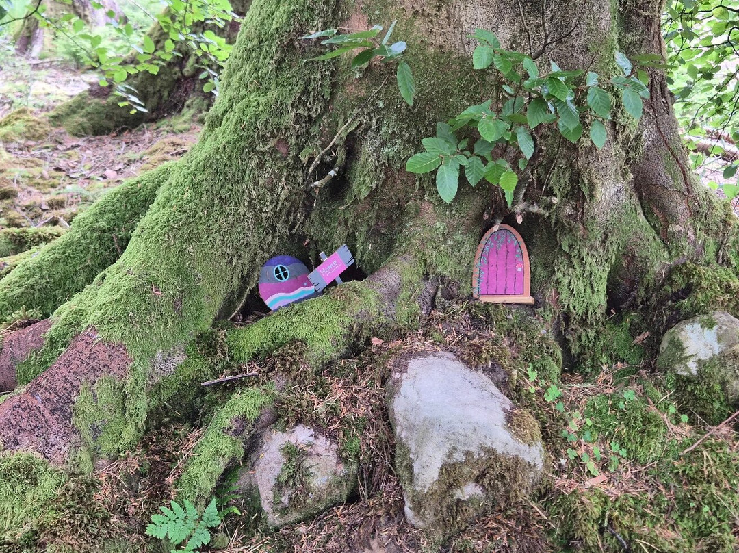 Kielder Castle Visitor Centre-Kielder必去景点