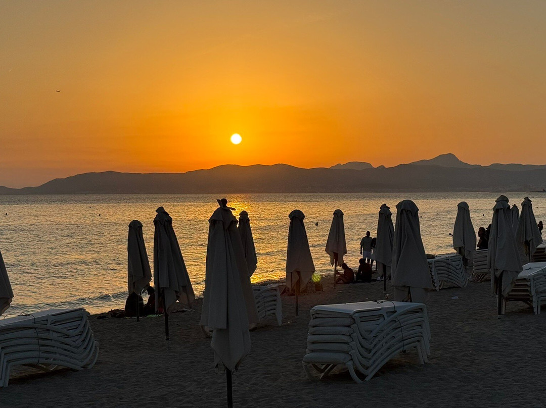 Platja de Palma-马洛卡帕尔马必去景点