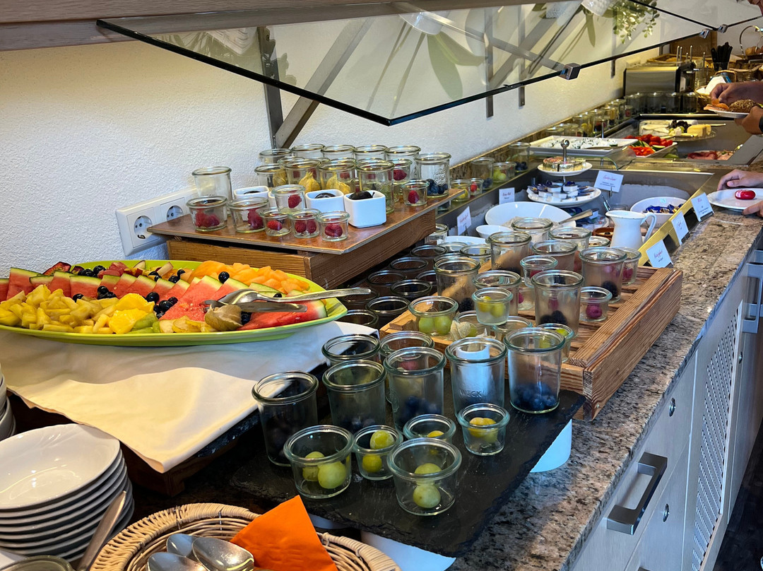 索妮哈德乡村酒店主图