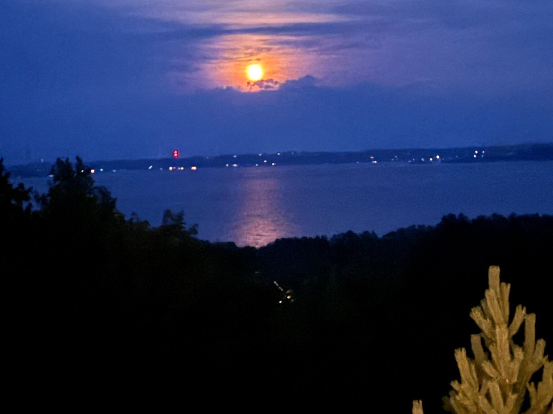 Suttons Bay Ciders-Suttons Bay必去景点