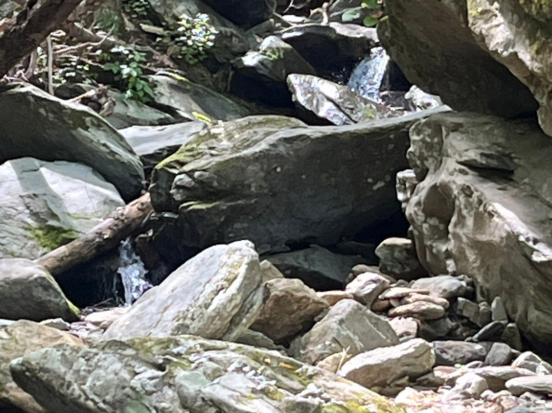 Otter Falls-Seven Devils必去景点