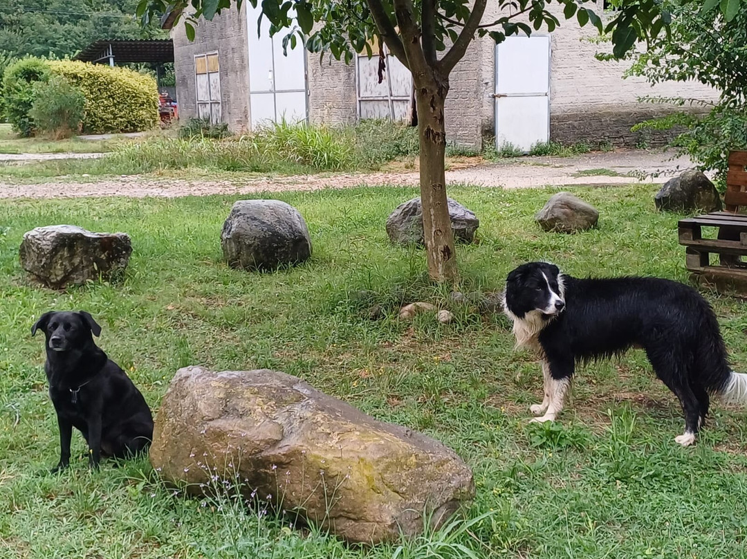 Tenuta Le Sorgive - Cascina Le Volpi主图
