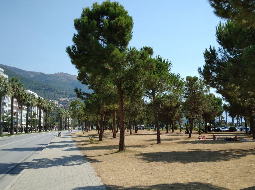 Vlora Old Town-夫罗勒必去景点