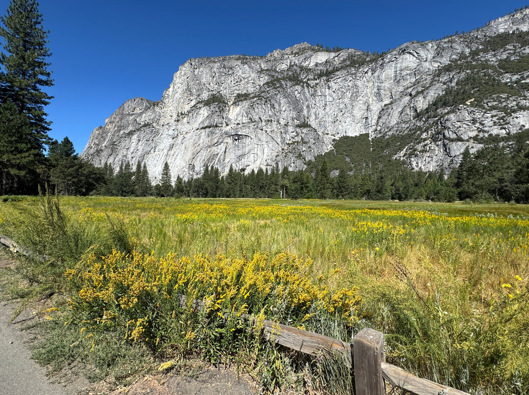 Yosemite Guide Service-格罗夫兰必去景点