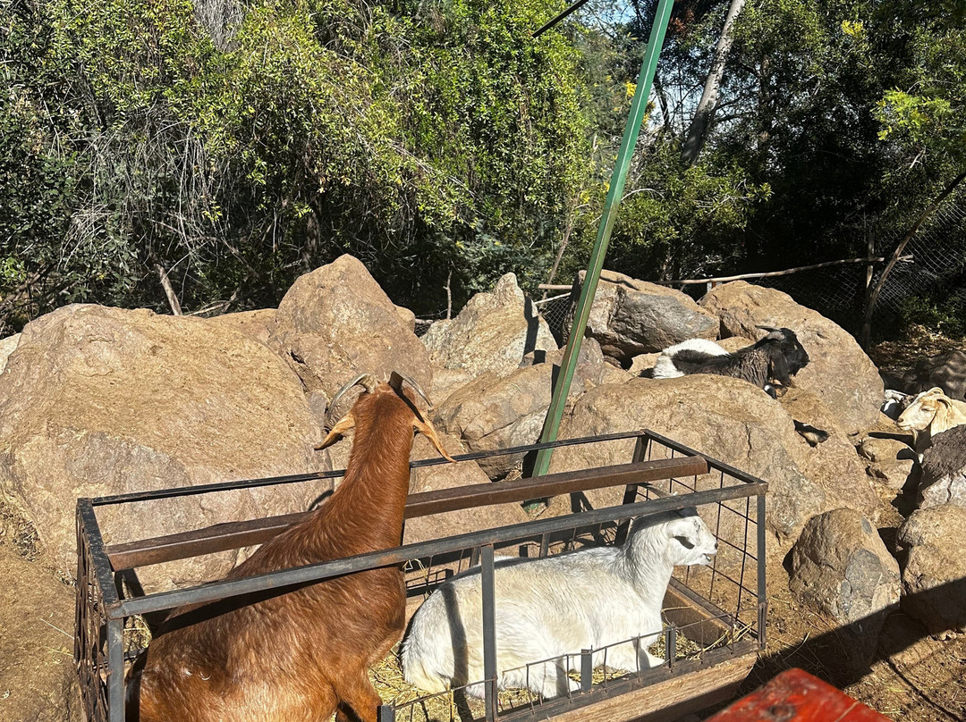 Parque Granjaventura-圣地亚哥必去景点