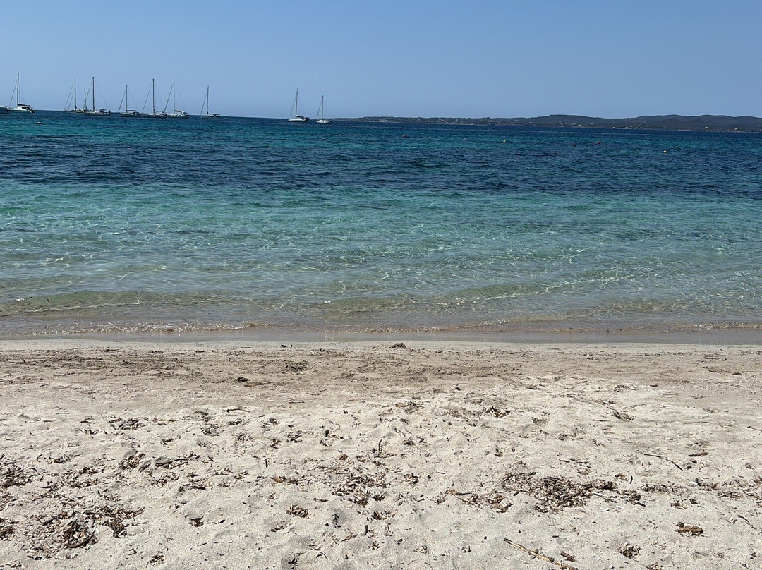 斯特拉德尔苏德酒店主图