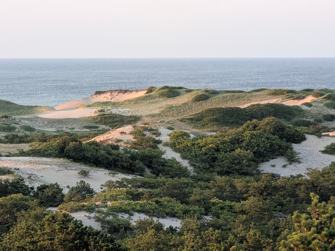 Province Lands Visitor Center-普罗温斯敦必去景点