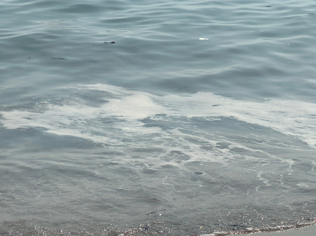 Playa Del Dossel-库列拉必去景点