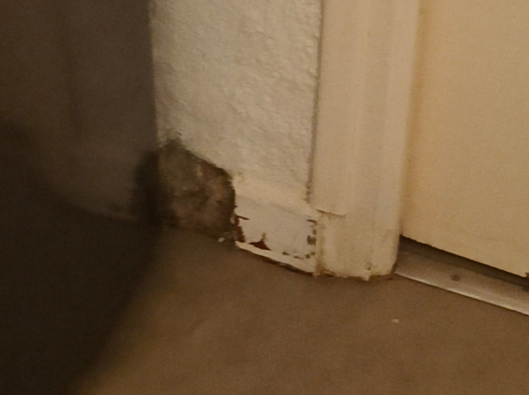 Hotel Residence U Paesolu主图