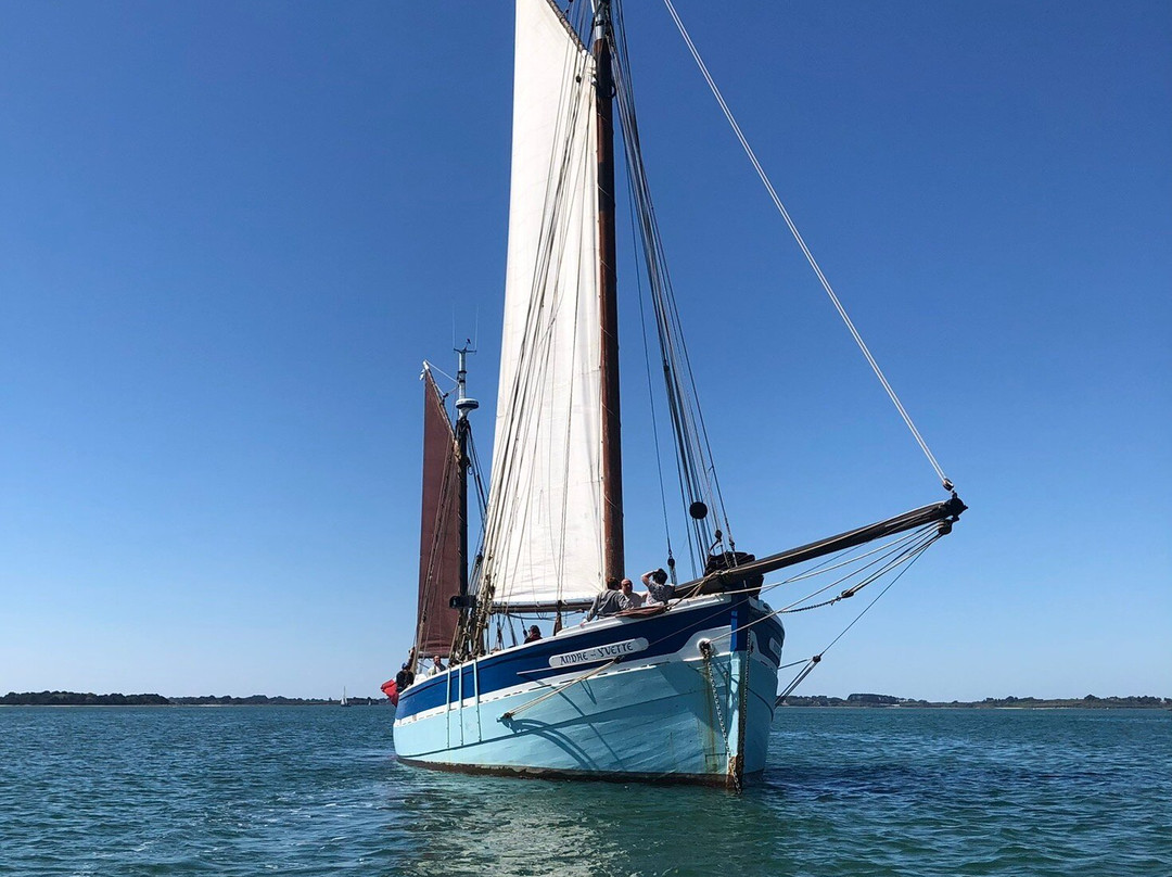 LES VOILES DU GOLFE_ BATEAU ANDRE YVETTE-Baden必去景点