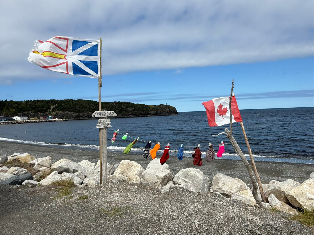 Gros Morne Transportation & Tours-Woody Point必去景点