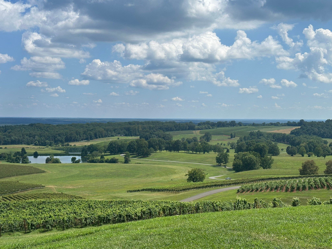 Trump Winery-夏洛茨维尔必去景点