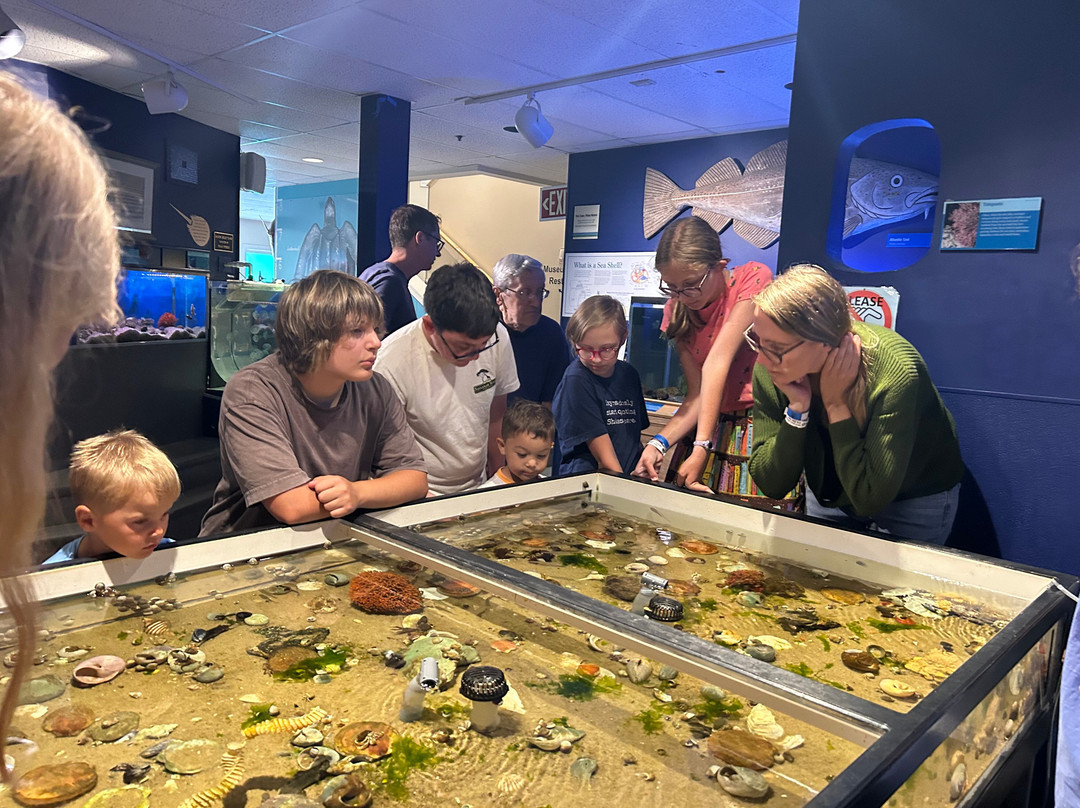 Cape Cod Museum of Natural History-Brewster必去景点