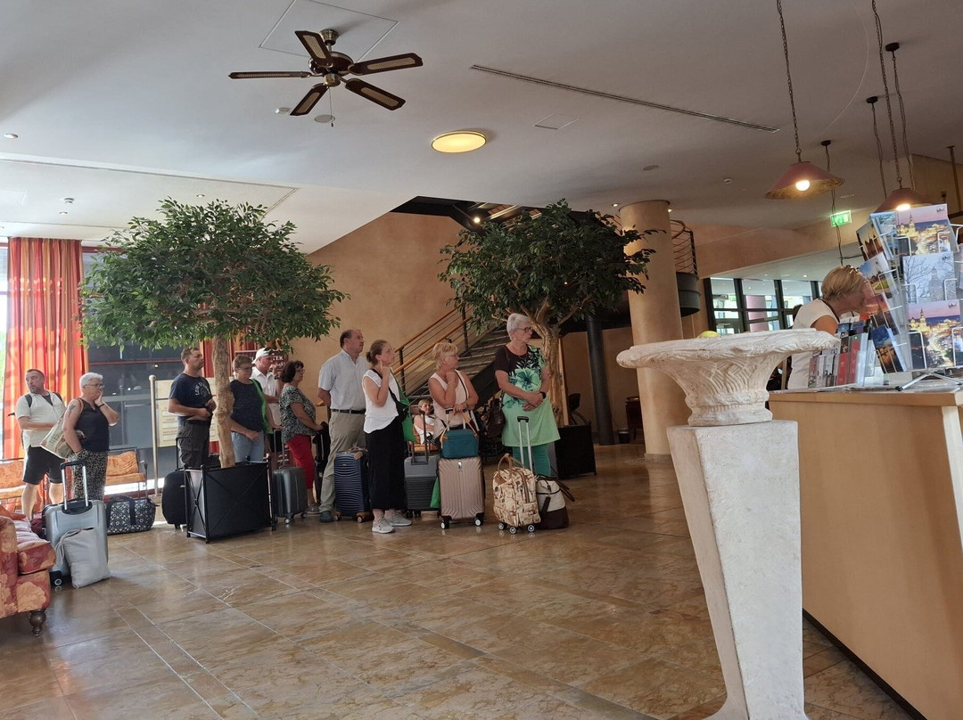 德勒斯顿艾尔贝弗伦萨酒店主图