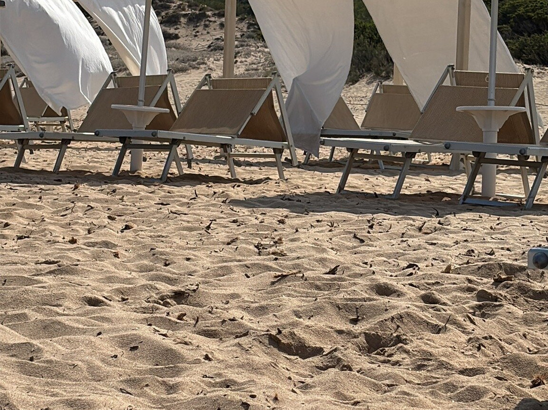Lido Dog Beach-Aglientu必去景点