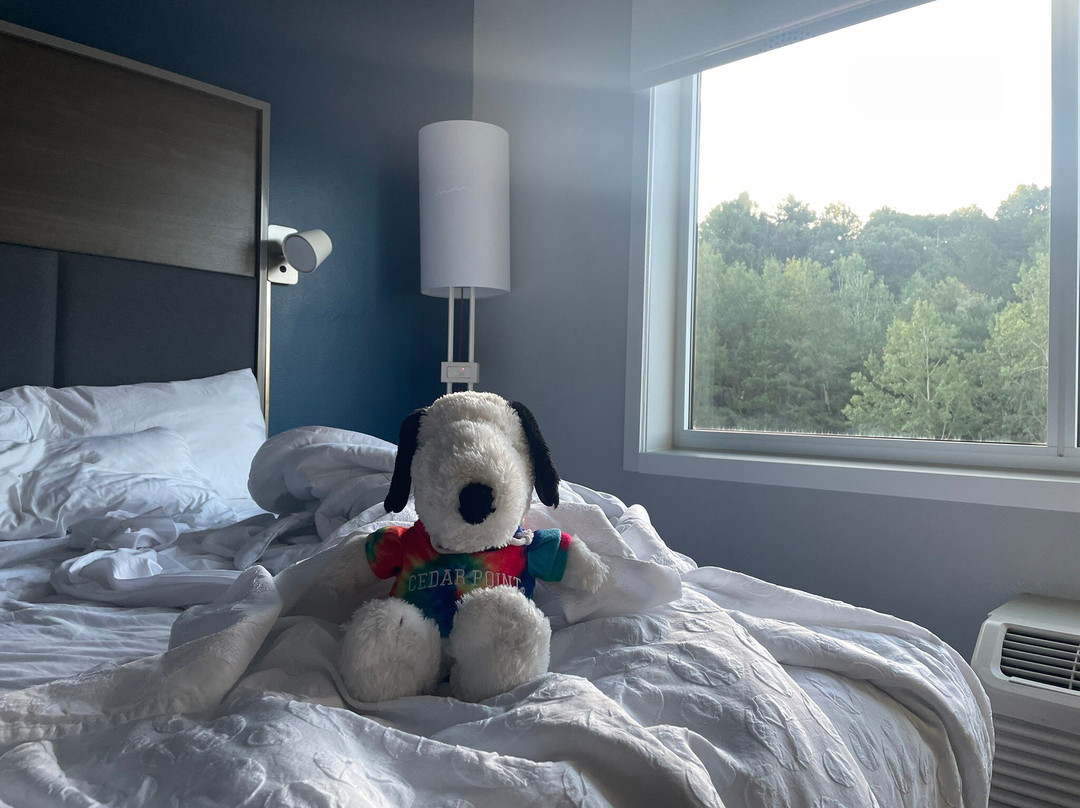 Tru by Hilton Traverse City主图