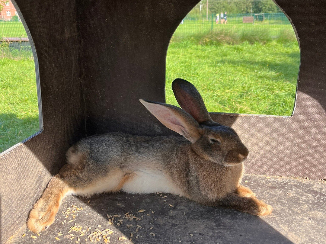 Rauboniai Park-Raubonys必去景点