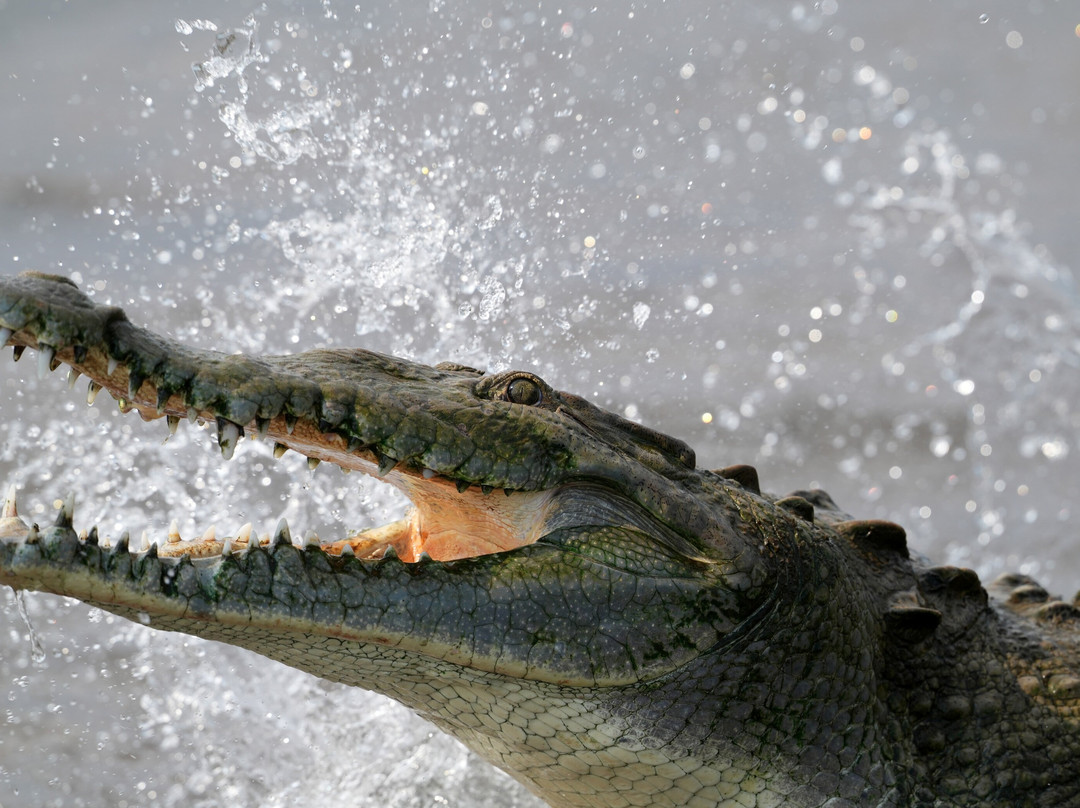 INTERNATURA FRCR-Santo Domingo de Heredia必去景点