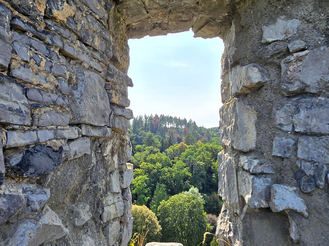 Les ruines du Chateau Fort de Montaigle-Falaen必去景点