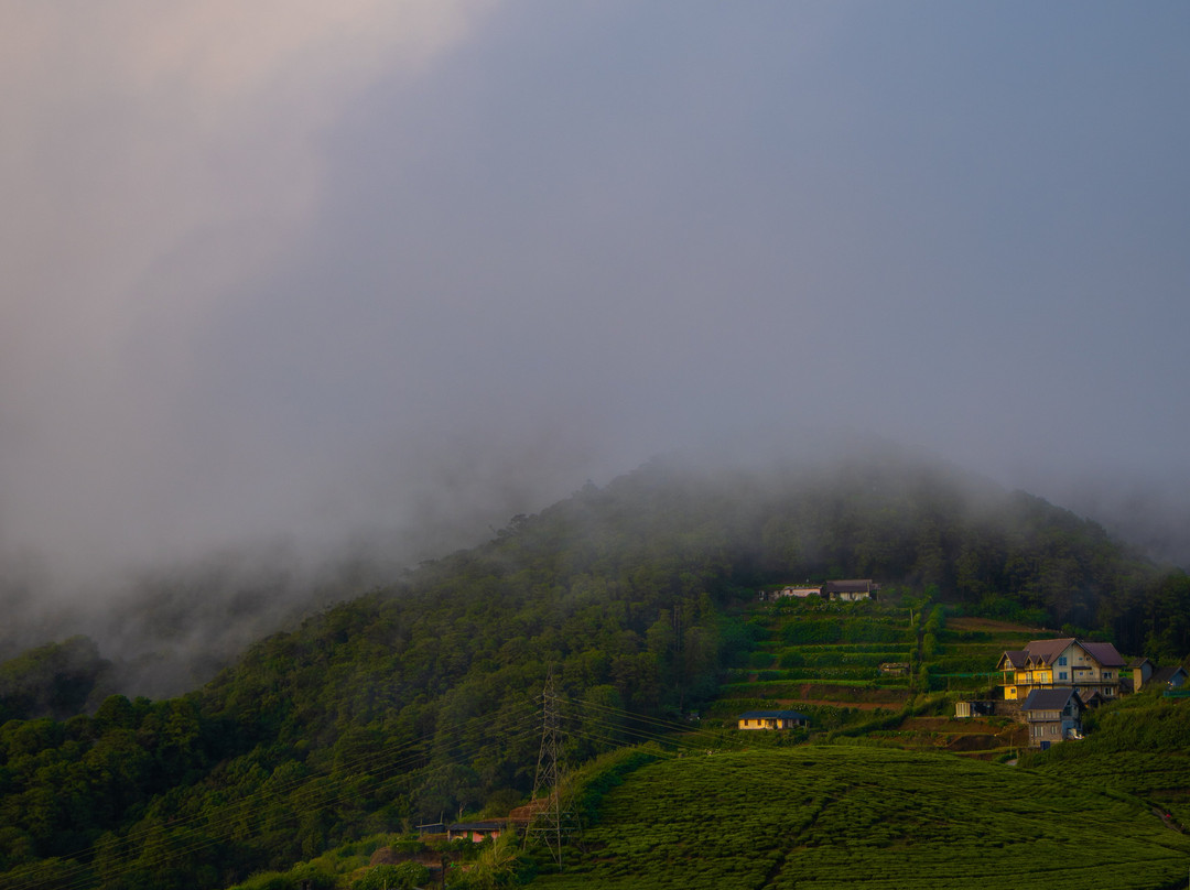 Beauty Island Lanka Travels-Wattegama必去景点