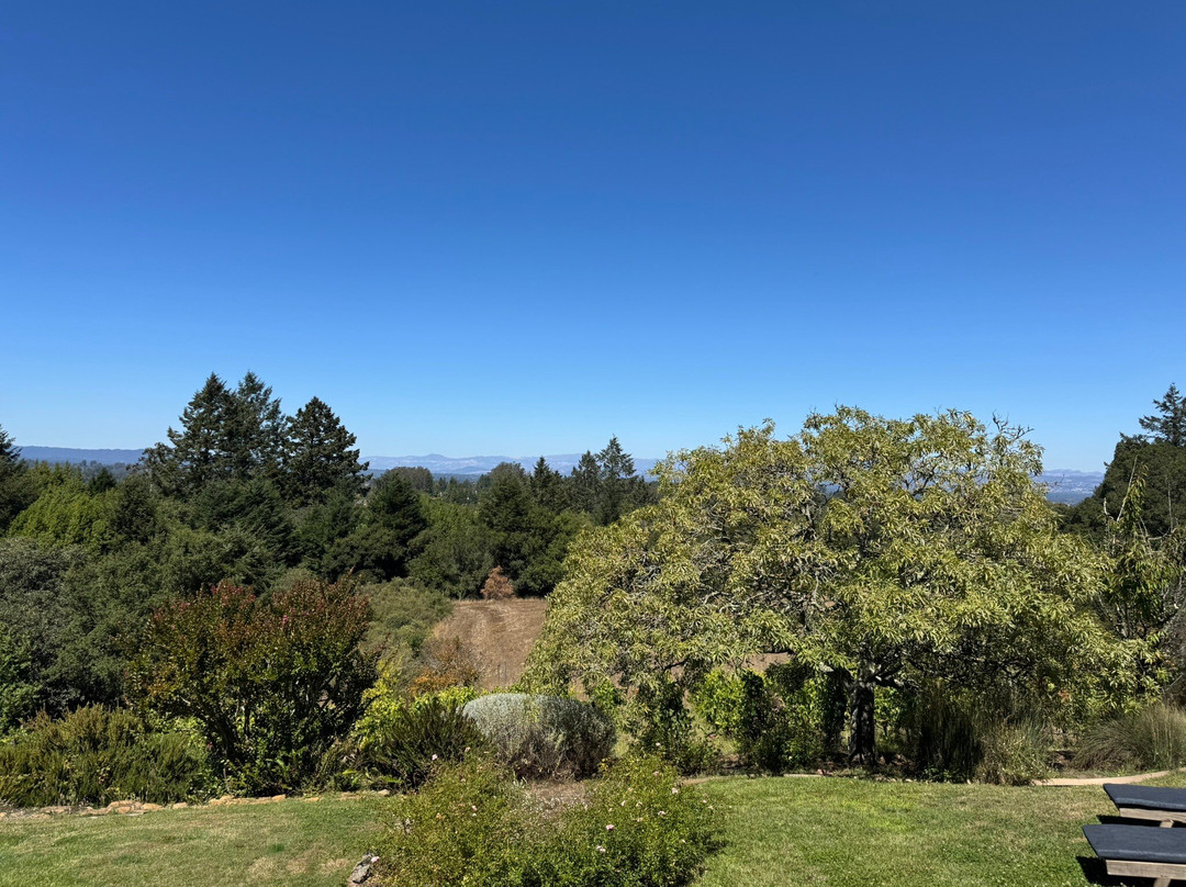 Halleck Vineyard-Sebastopol必去景点