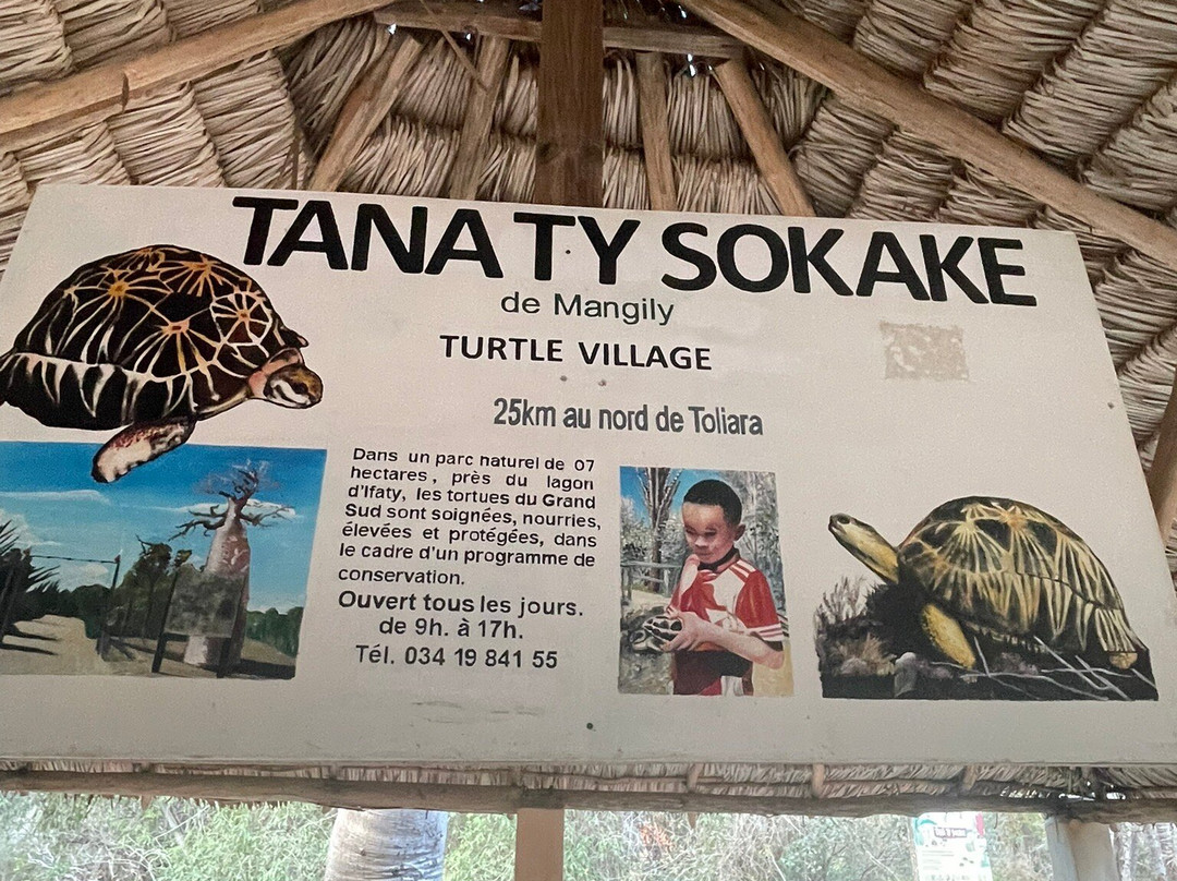 Le Village des Tortues-Ifaty必去景点