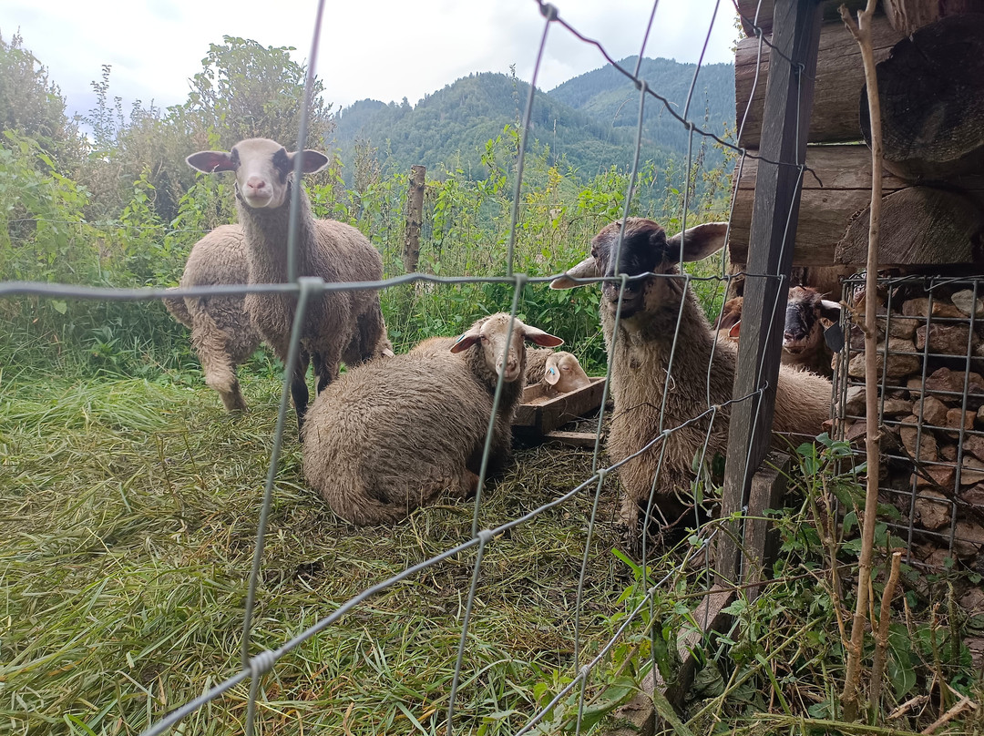 Gasthof Eschau主图