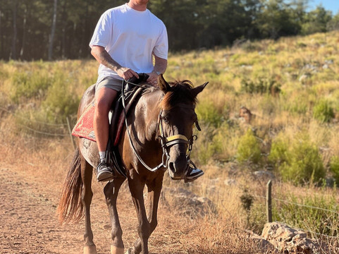 Family Horse Farm-厄吕代尼兹必去景点