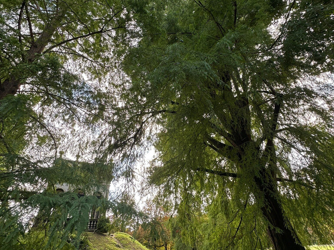 Parco di Villa Pisani