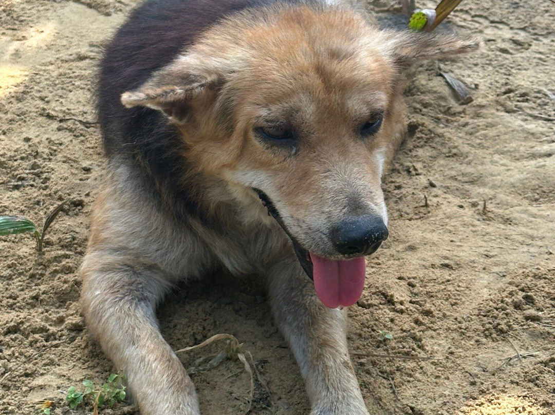 Melaka On Bike - Day Tours-马六甲必去景点