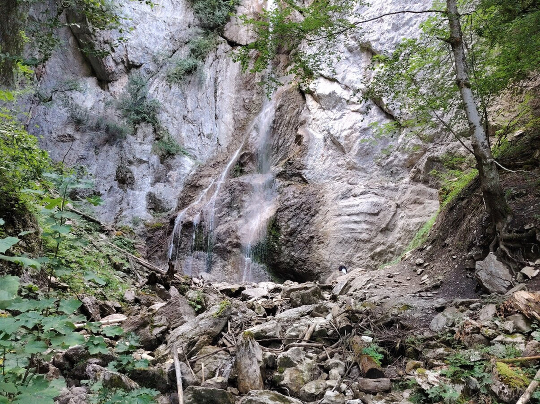 Cascade Sur Bayard