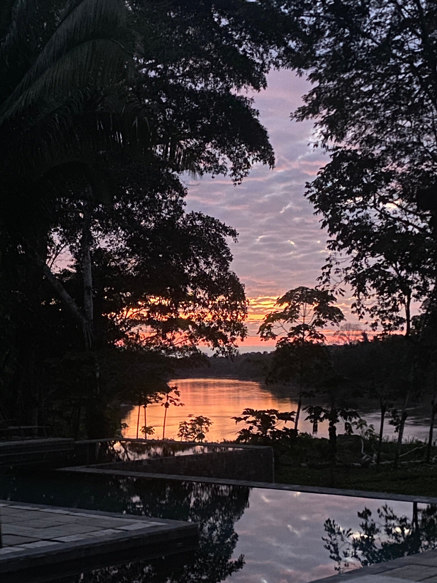 Wasai Tambopata Lodge-官方