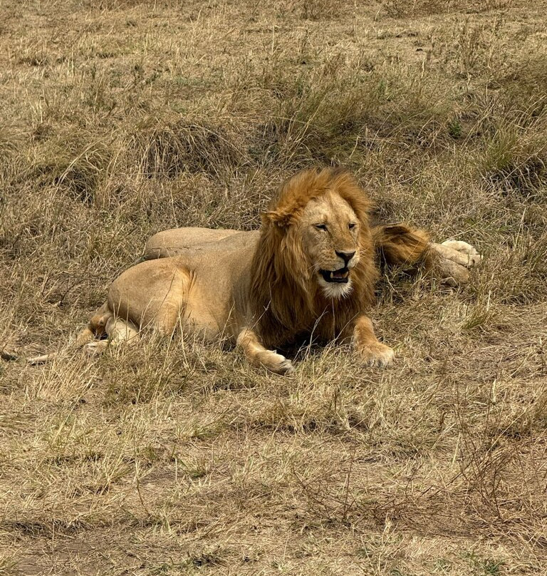 Kilibeyond Safaris-莫西必去景点