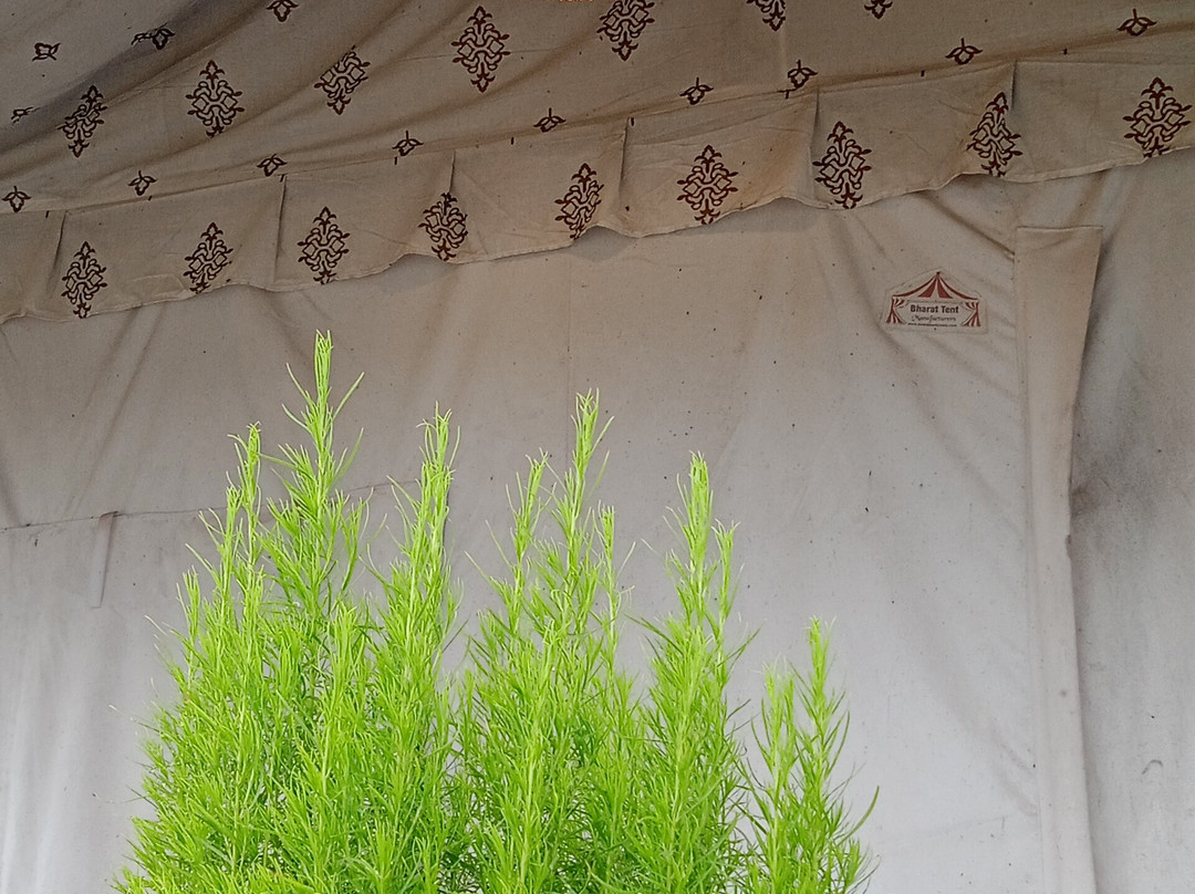 Ram Shyam Village Resort主图