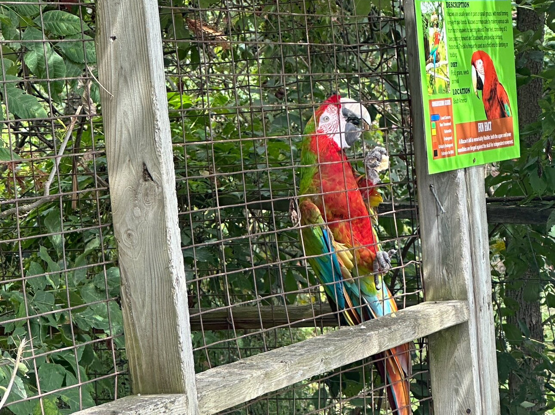 Elmvale Jungle Zoo-Elmvale必去景点