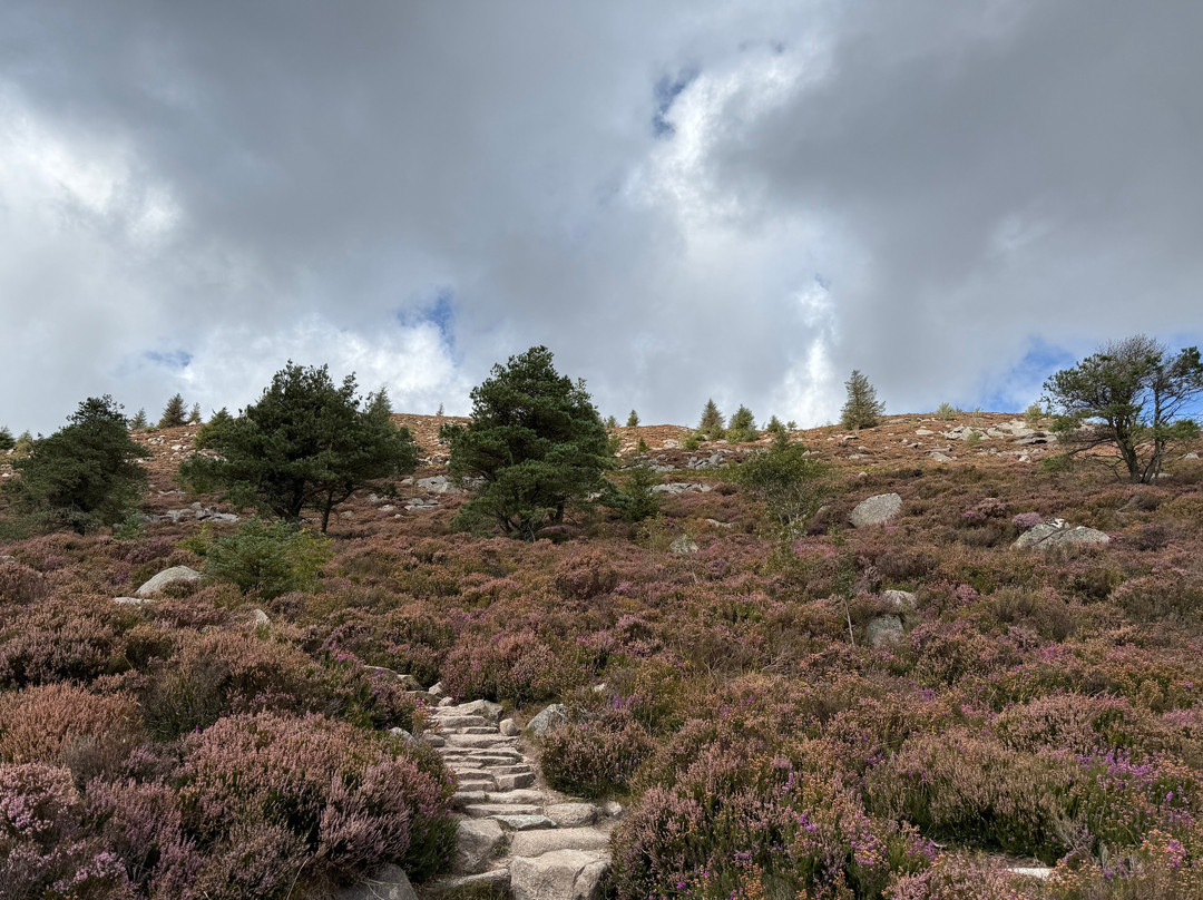 Bennachie Hill Walks-阿伯丁必去景点