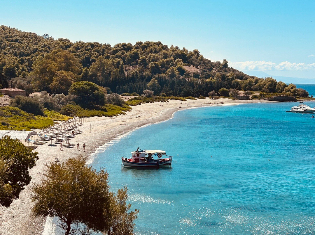 Nikolaki's Swimming Trips-Skiathos Town必去景点