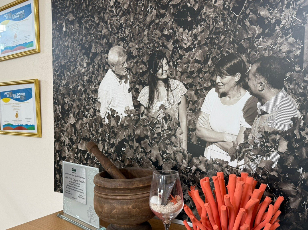 Poderi Parpinello Winery-萨萨里省必去景点