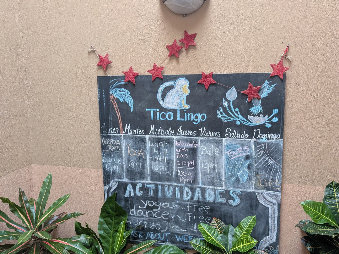 Tico Lingo-爱雷迪雅必去景点