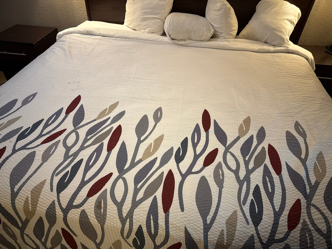 Red Roof Inn Grand Rapids Airport主图