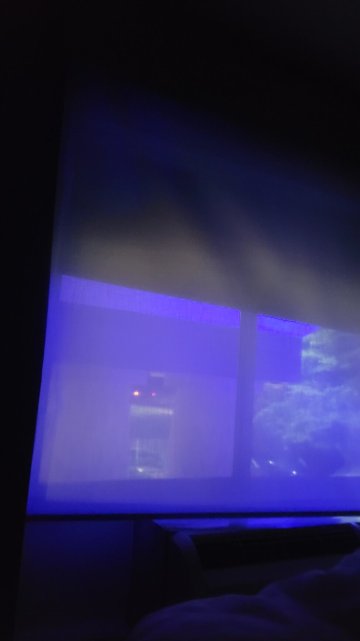 智选假日套房酒店纽贝里-官方