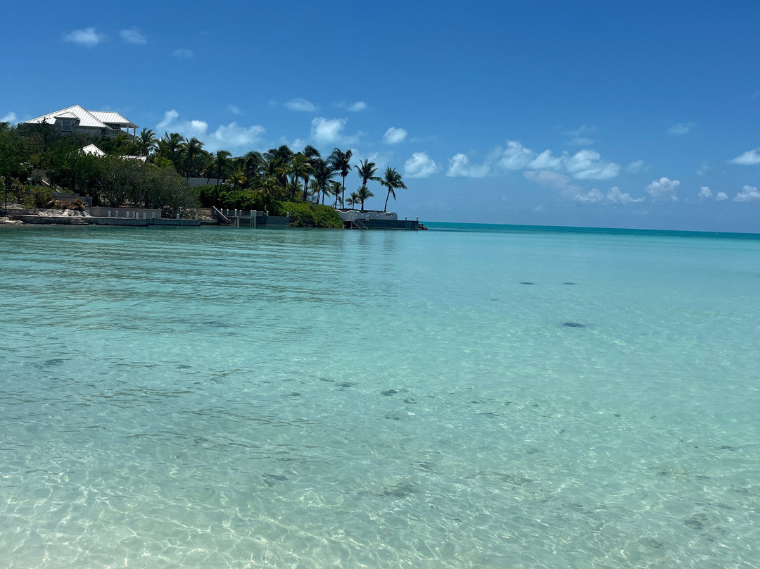 Taylor Bay Beach-普罗维登西亚莱斯必去景点