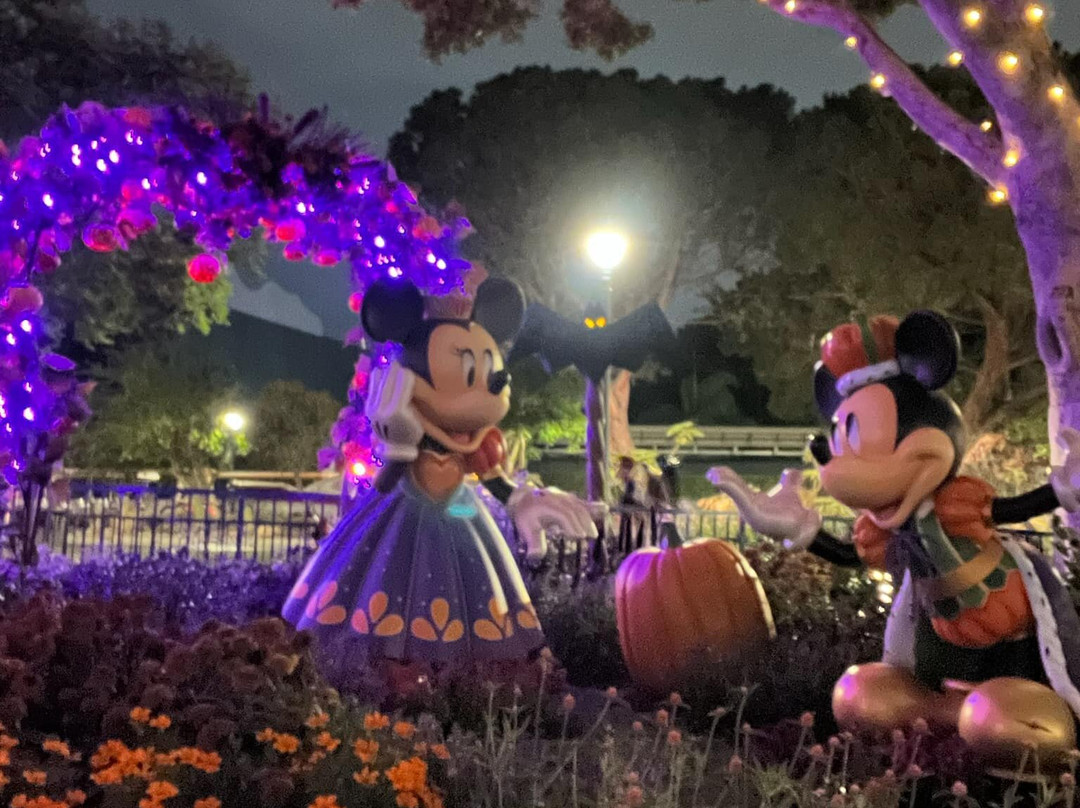 迪士尼城-阿纳海姆必去景点