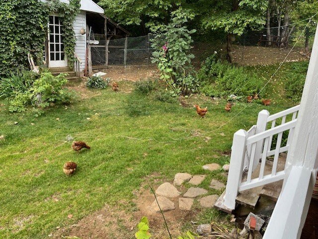 Auberge Carpe Diem主图