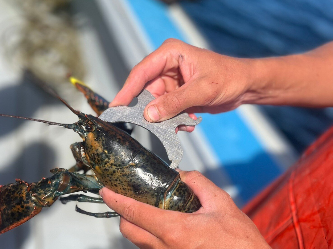 Campbell's Deep Sea Fishing-York必去景点