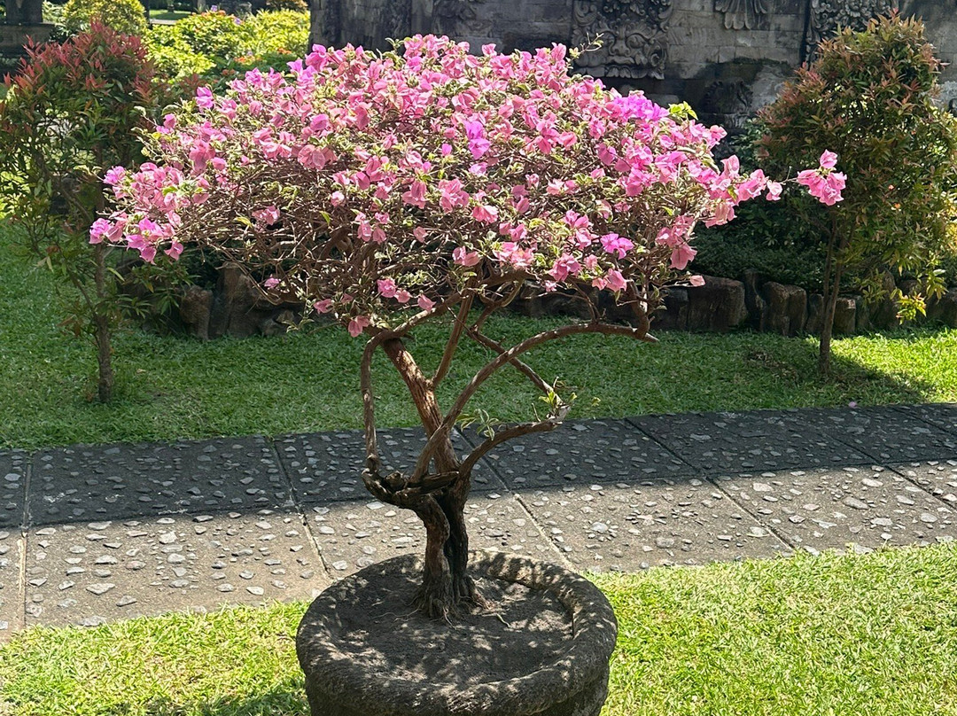 巴厘省国家博物馆-登巴萨必去景点