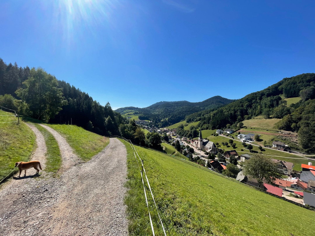 Kurparkhotel Faisst主图