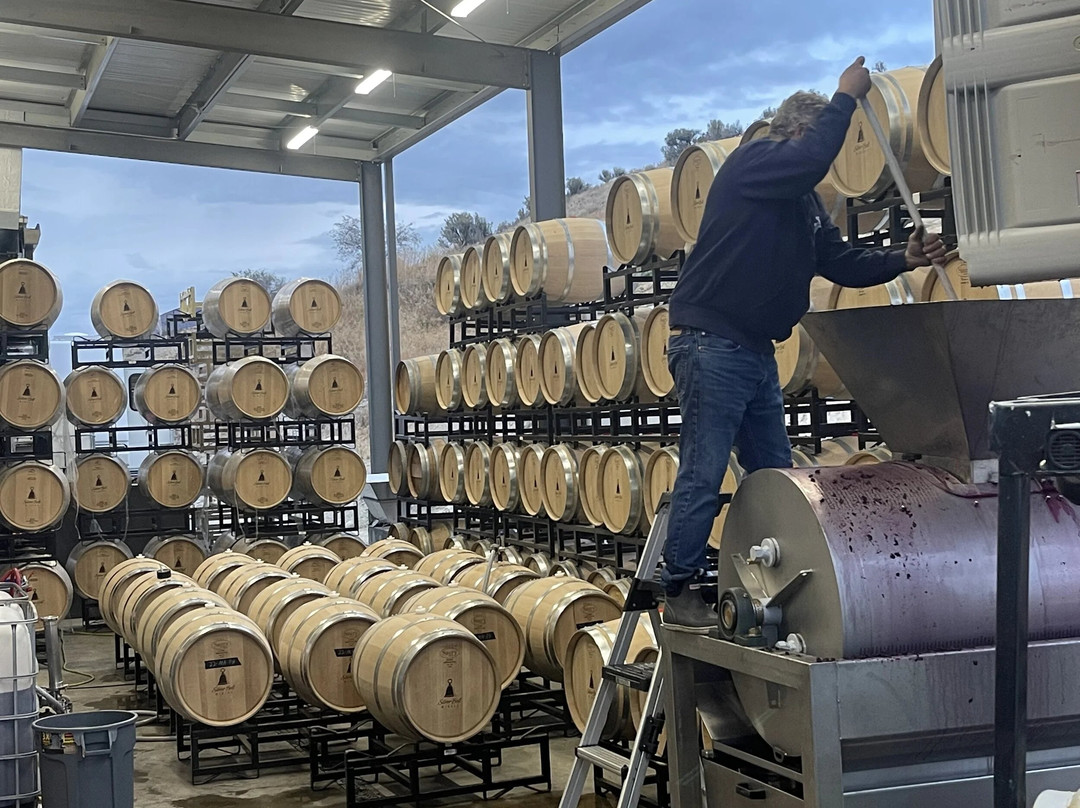 Silver Bell Winery-Manson必去景点