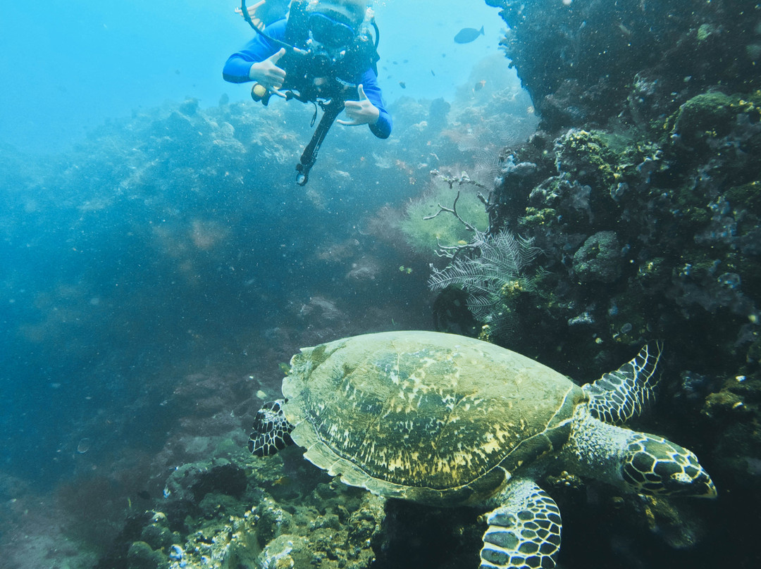 Tulamben Dive-图兰本必去景点